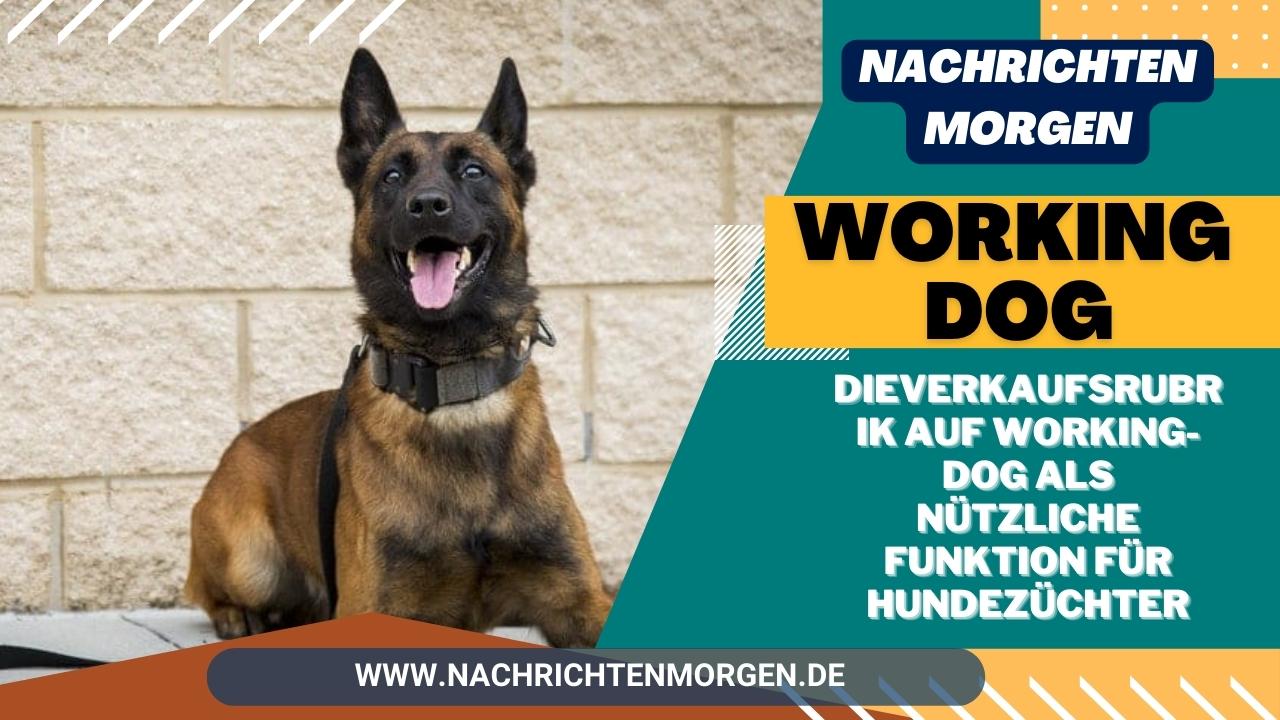 Working Dog __ Die Verkaufsrubrik Auf Working-Dog Als Nützliche Funktion Für Hundezüchter