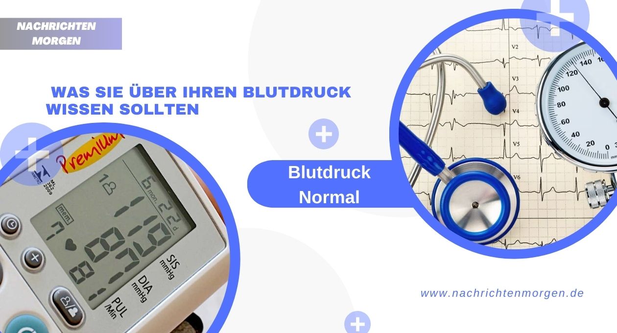 Blutdruck Normal