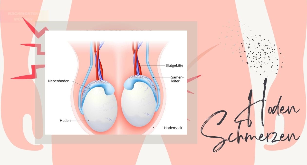 Hoden Schmerzen