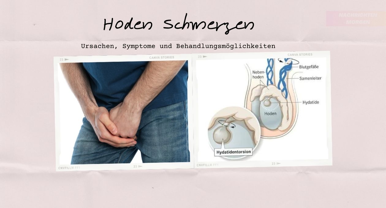 Hoden Schmerzen