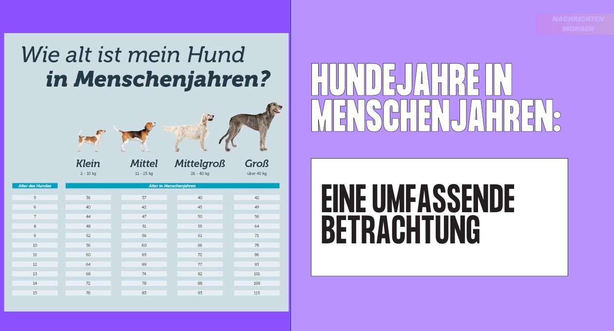 Hundejahre in Menschenjahren