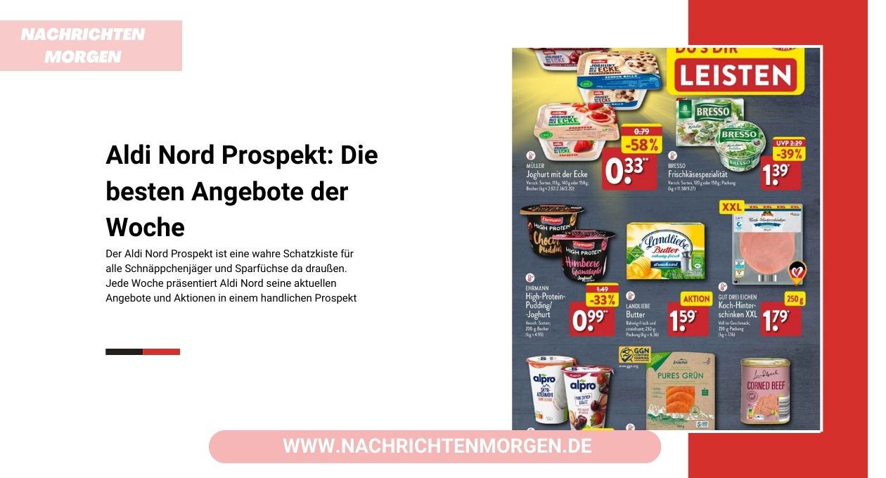 aldi nord prospekt