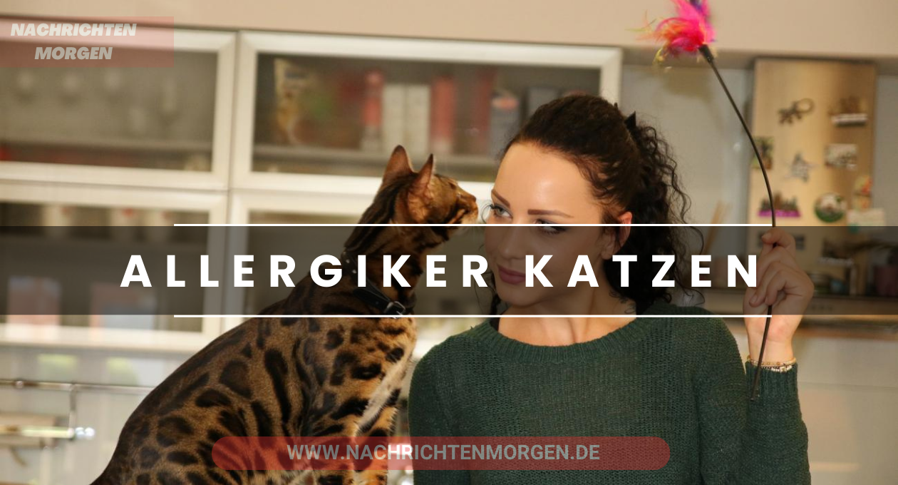 allergiker katzen