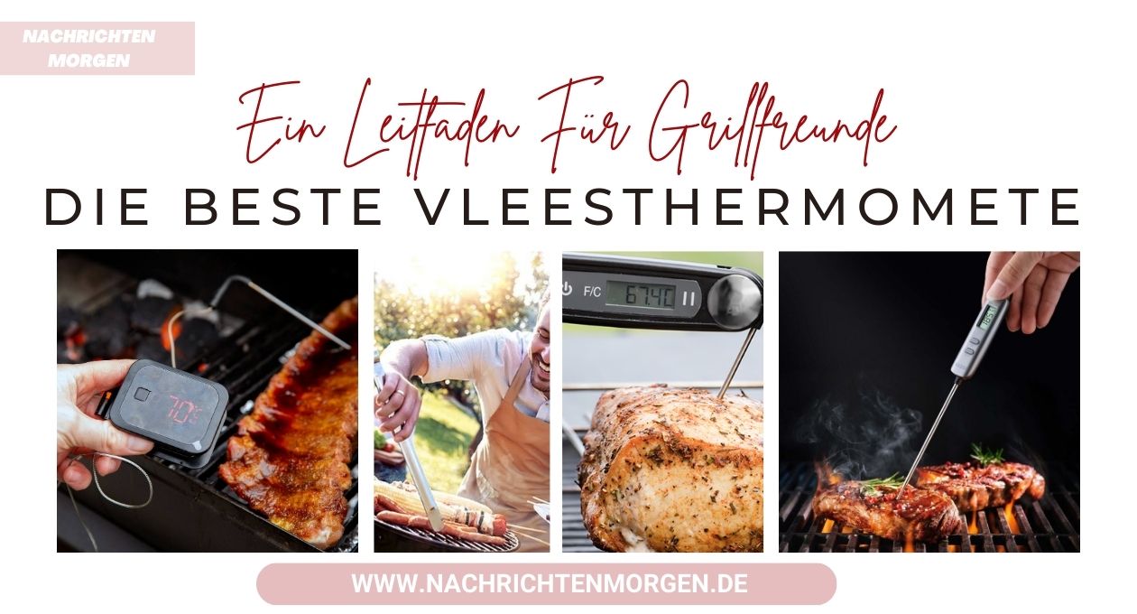 beste vleesthermometer