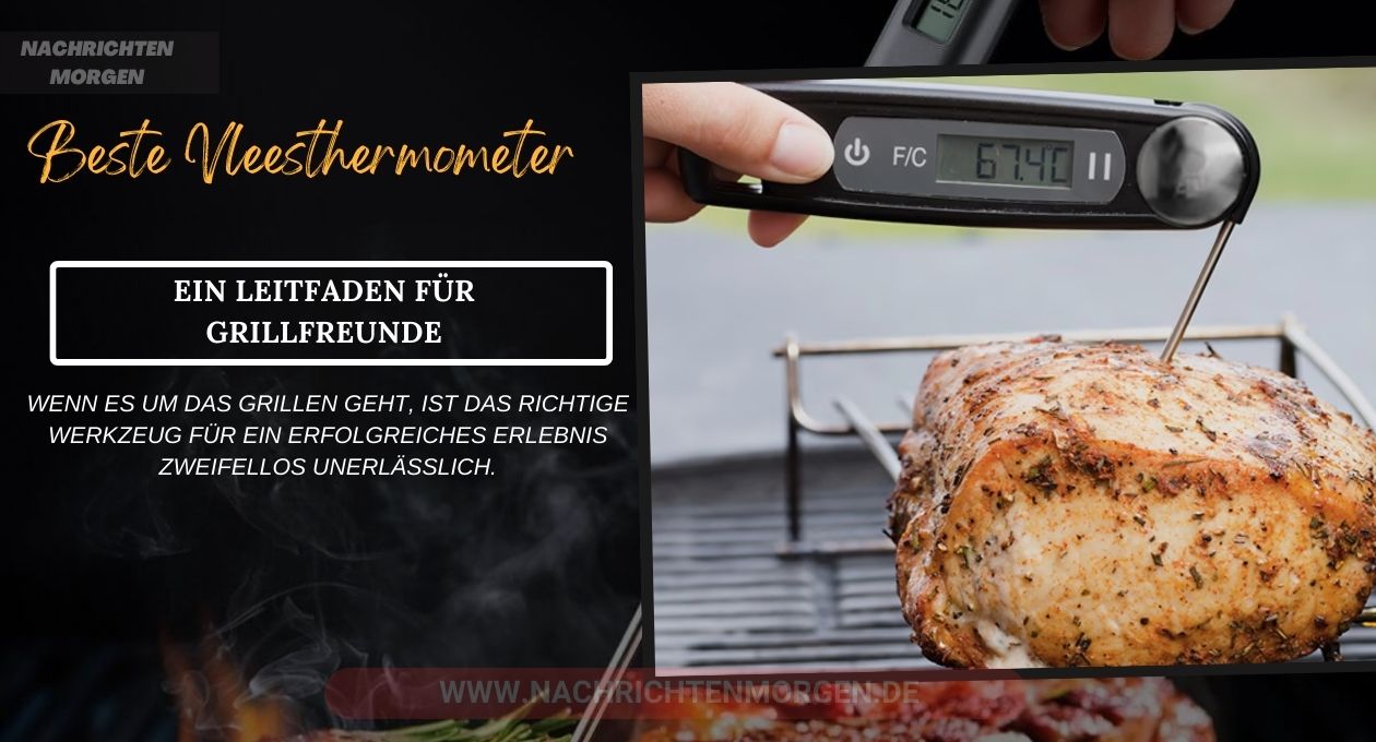 beste vleesthermometer