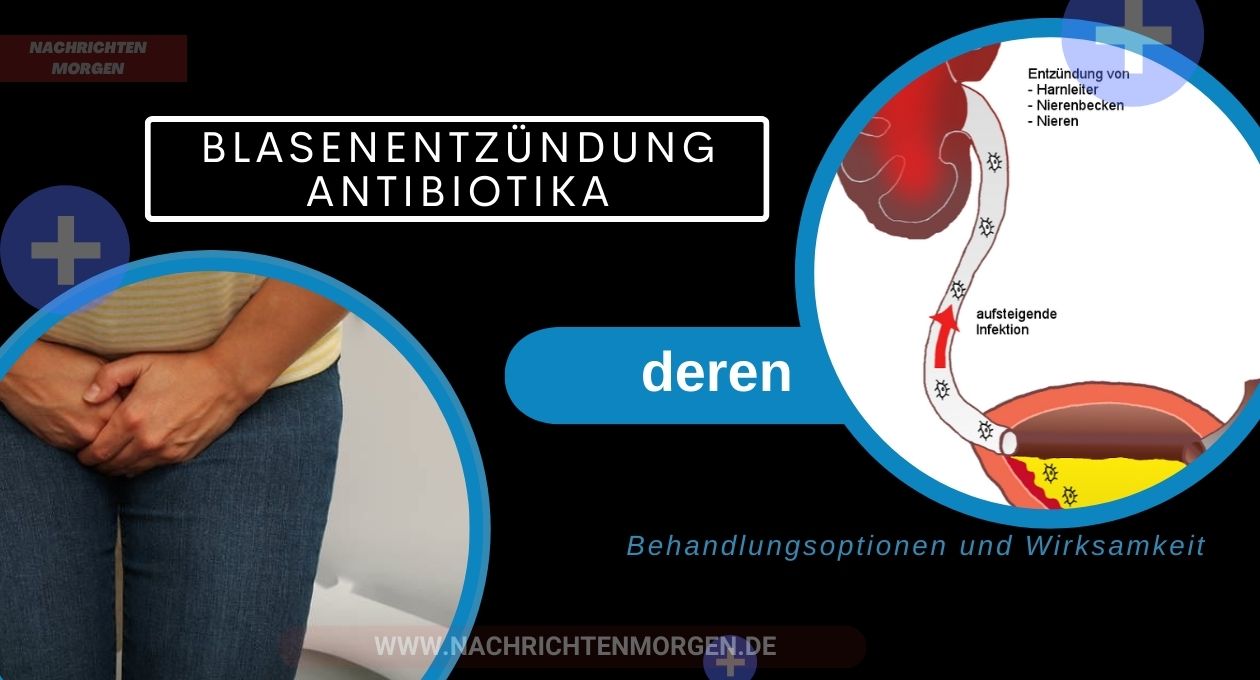 blasenentzündung antibiotika