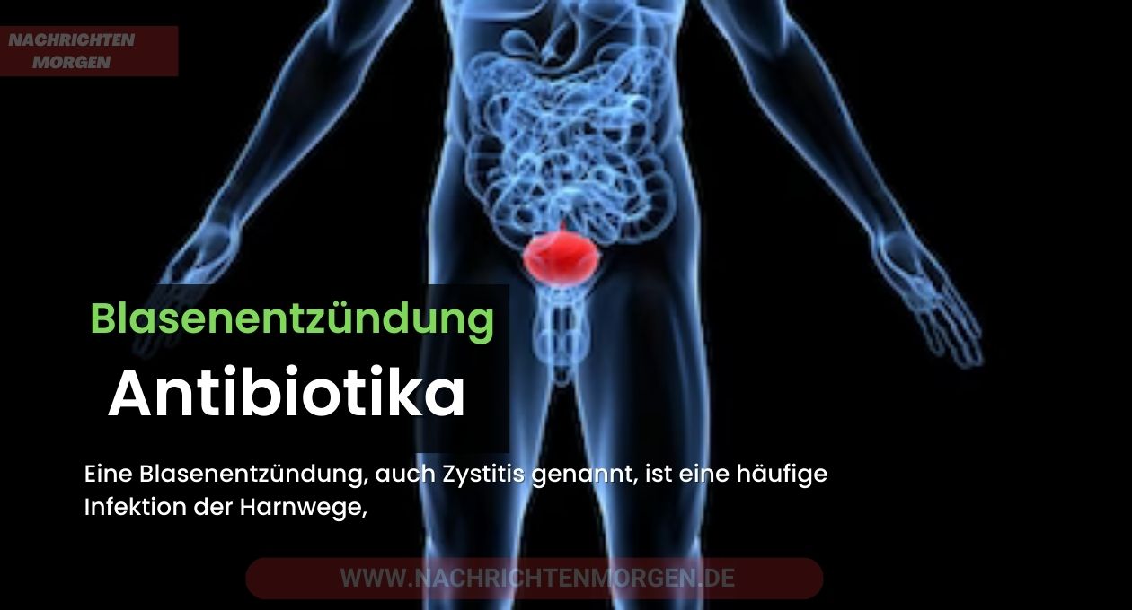 blasenentzündung antibiotika