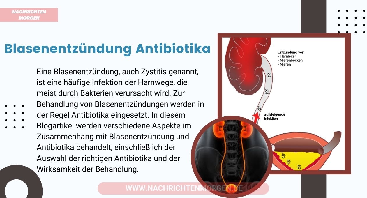 blasenentzündung antibiotika