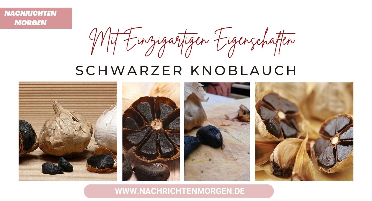 schwarzer knoblauch