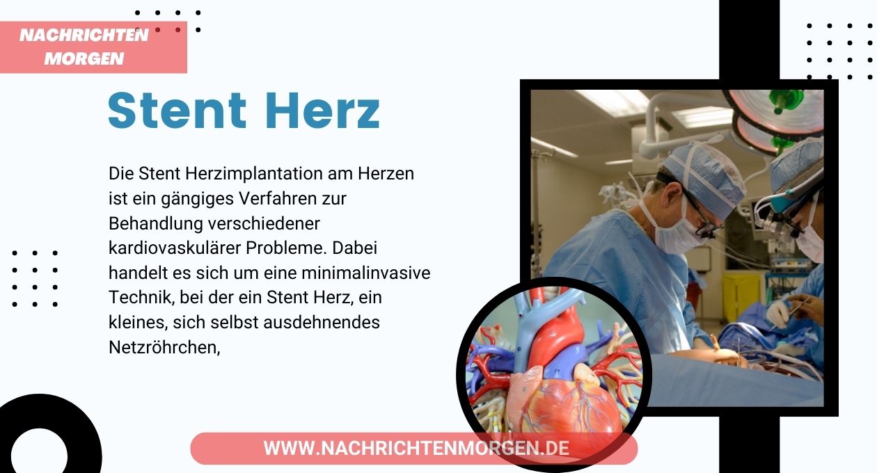stent herz
