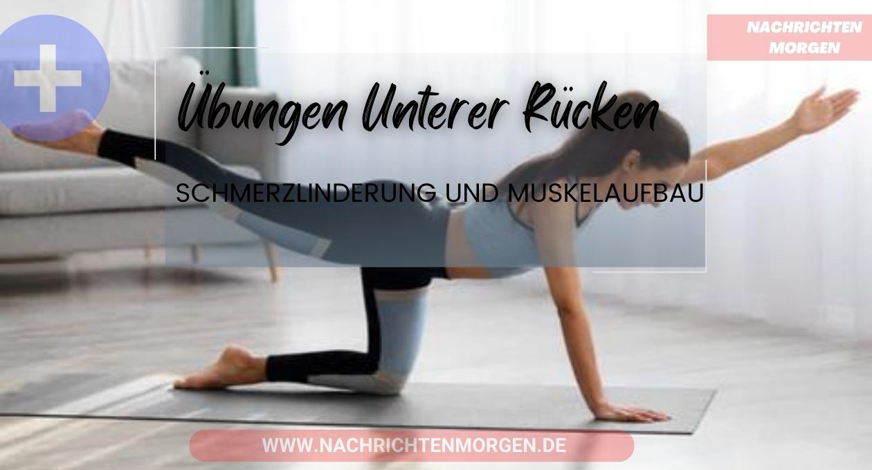 übungen unterer rücken