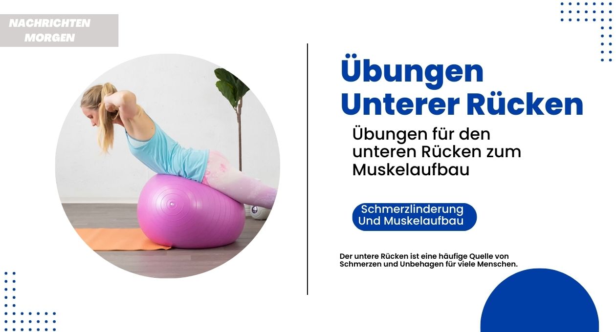 übungen unterer rücken