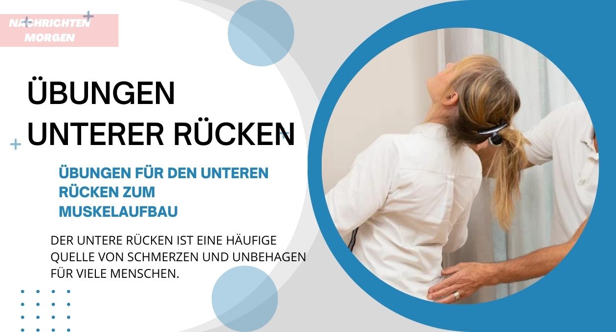 übungen unterer rücken