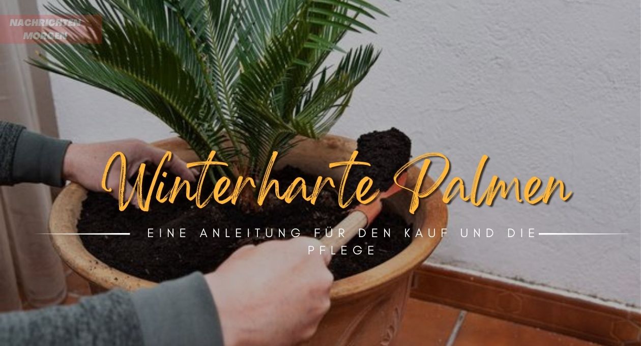 winterharte palmen