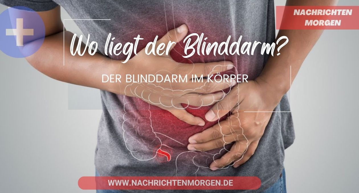 wo liegt der blinddarm