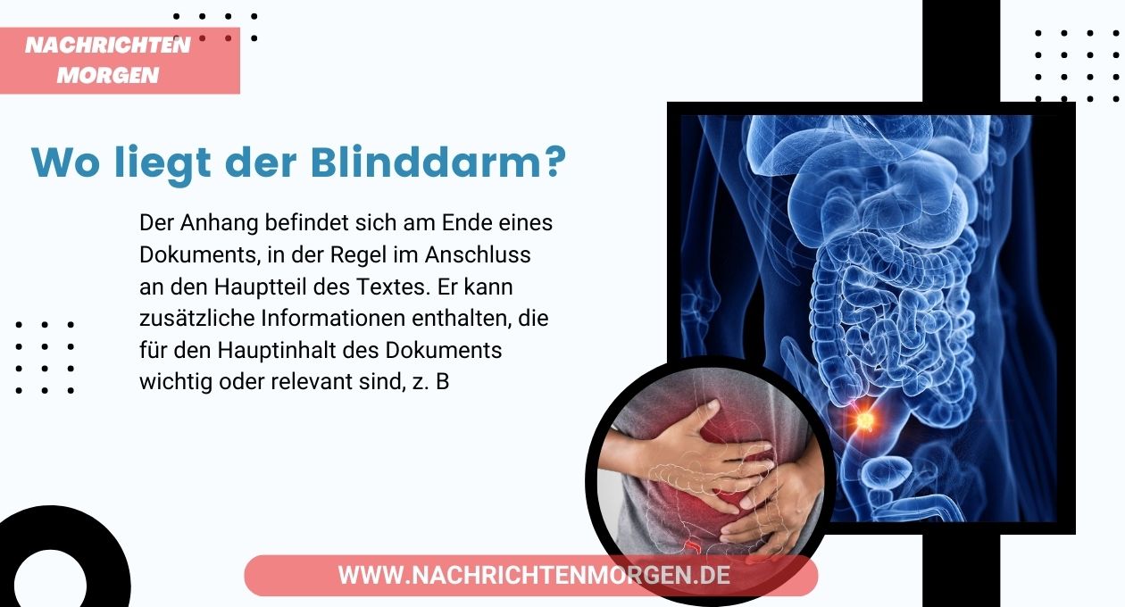 wo liegt der blinddarm