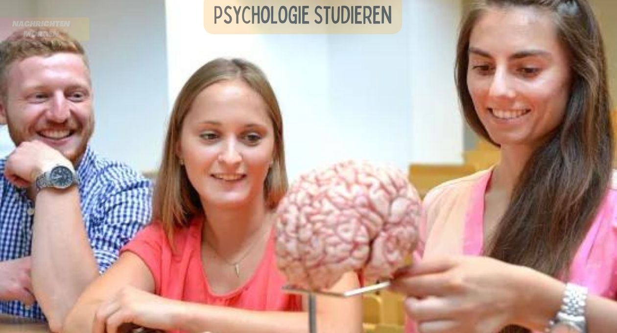 Psychologie Studieren