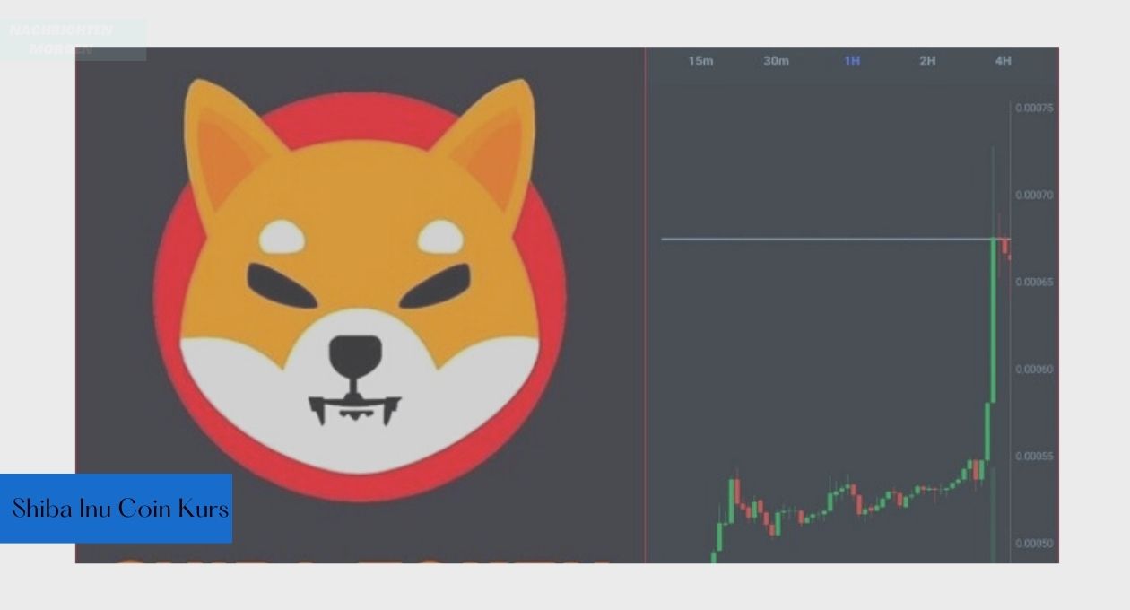 Shiba Inu Coin Kurs