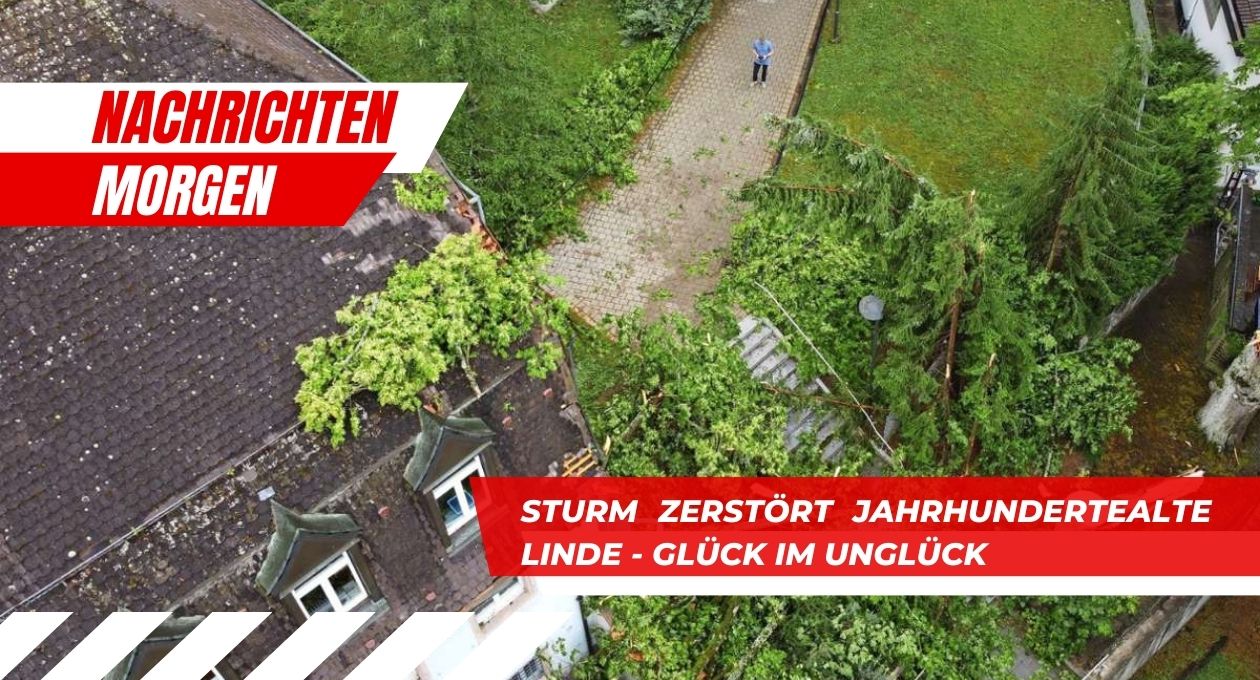 Sturm Zerstört Jahrhundertealte Linde - Glück Im Unglück