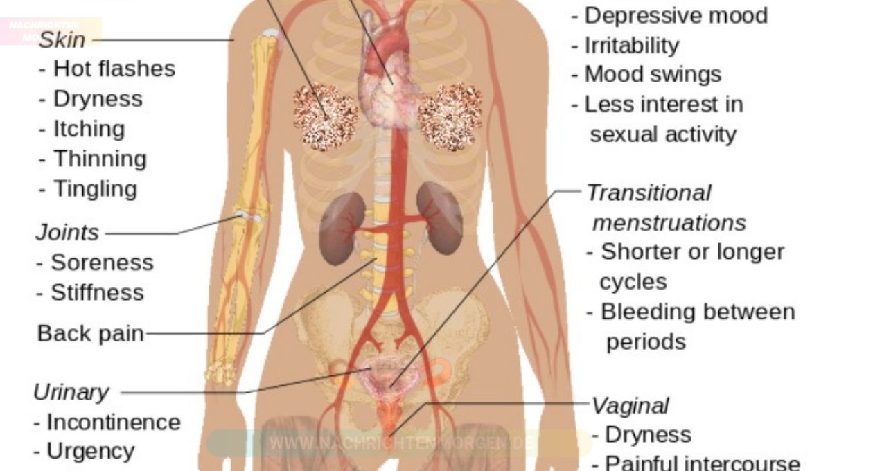 Symptomen Menopauze