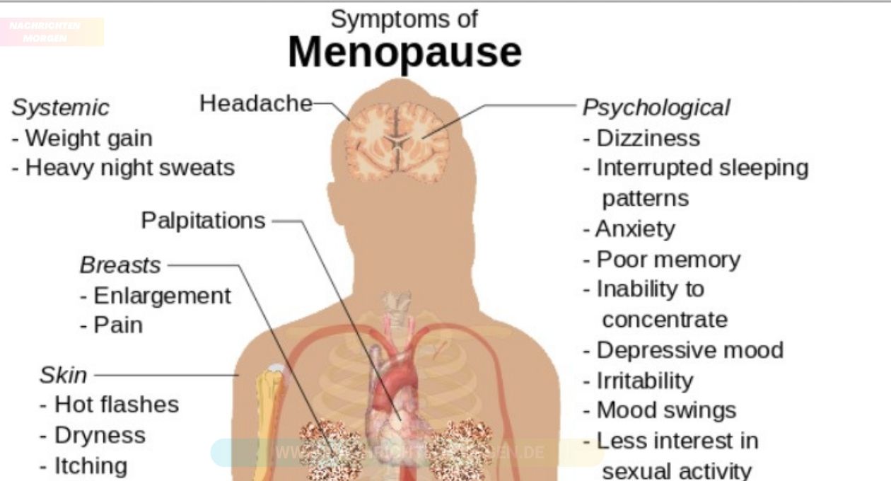 Symptomen Menopauze