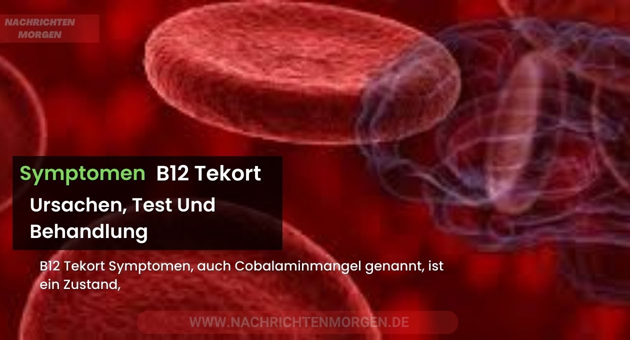 b12 tekort symptomen