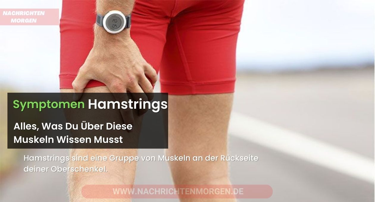 hamstrings