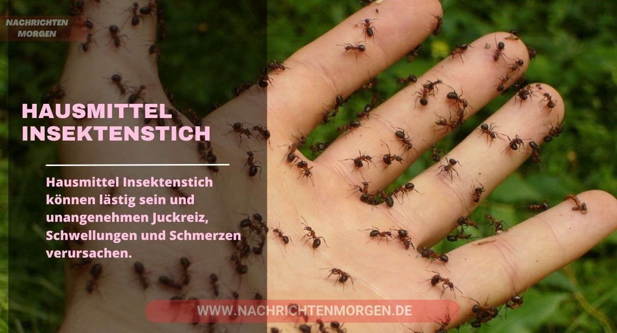 hausmittel insektenstich