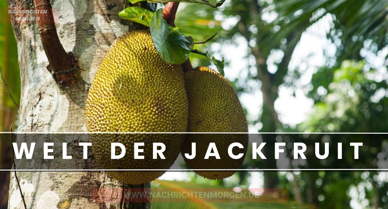 jackfruit