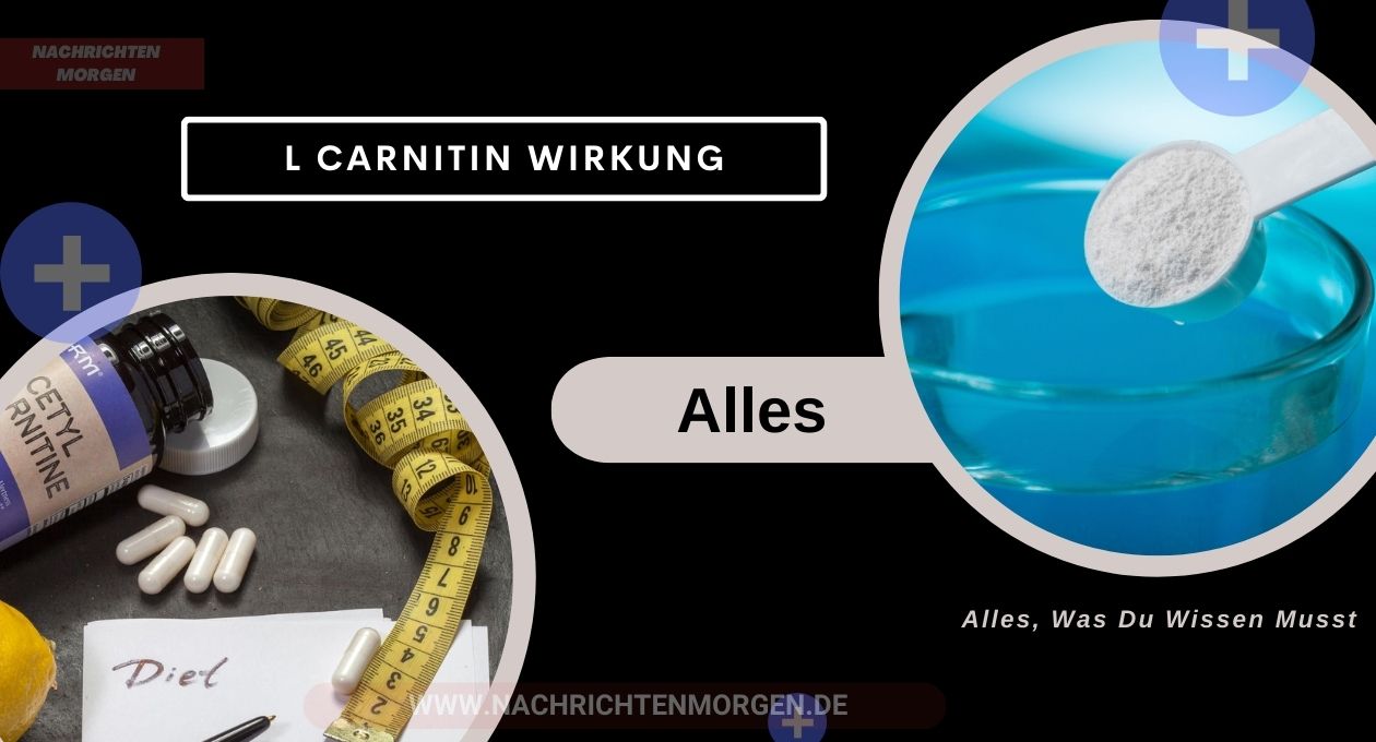 l carnitin wirkung