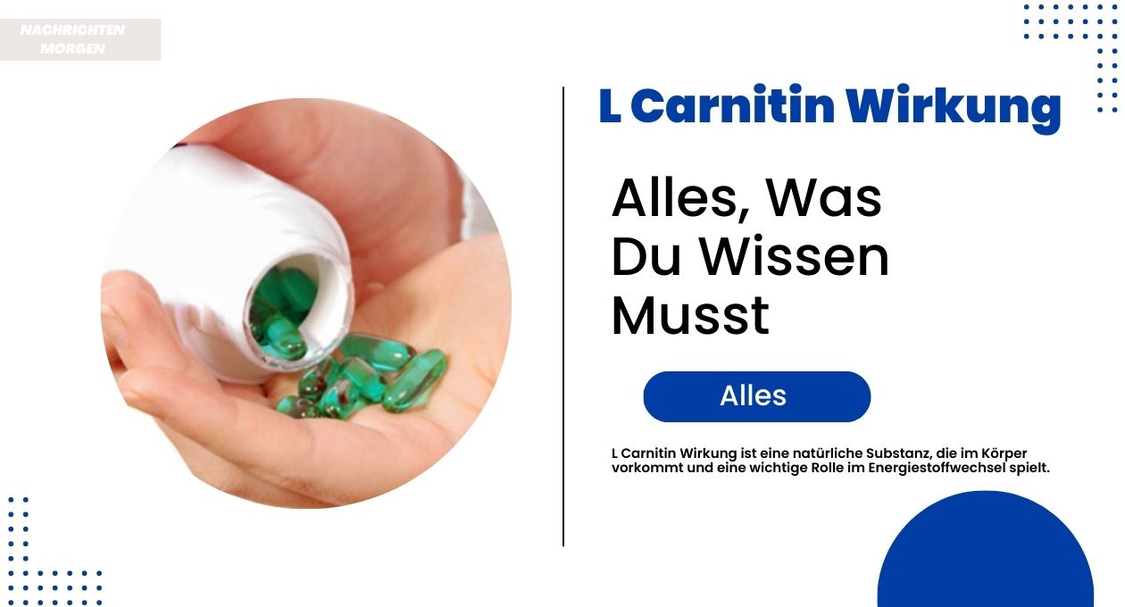 l carnitin wirkung