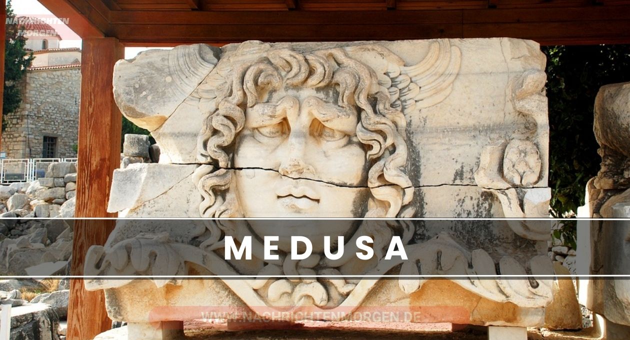 medusa