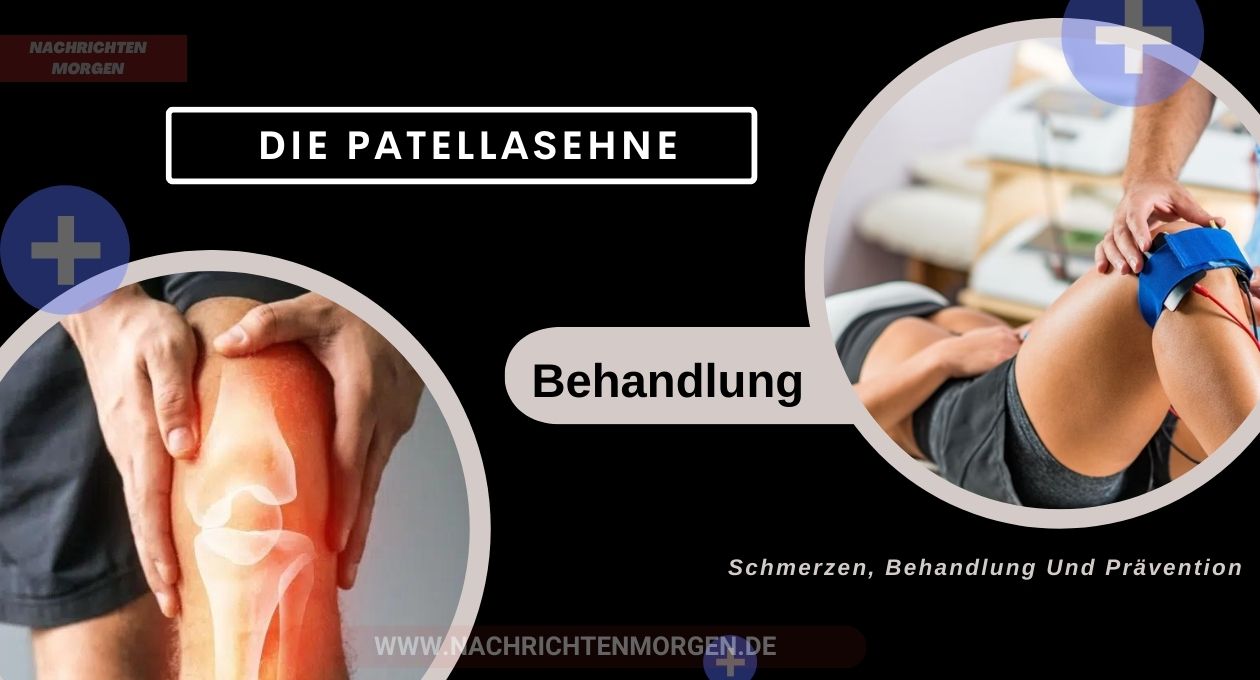 patellasehne