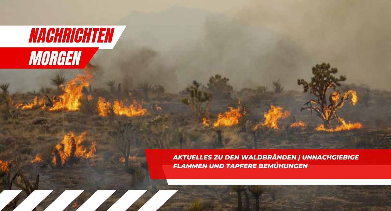 Aktuelles zu den Waldbränden