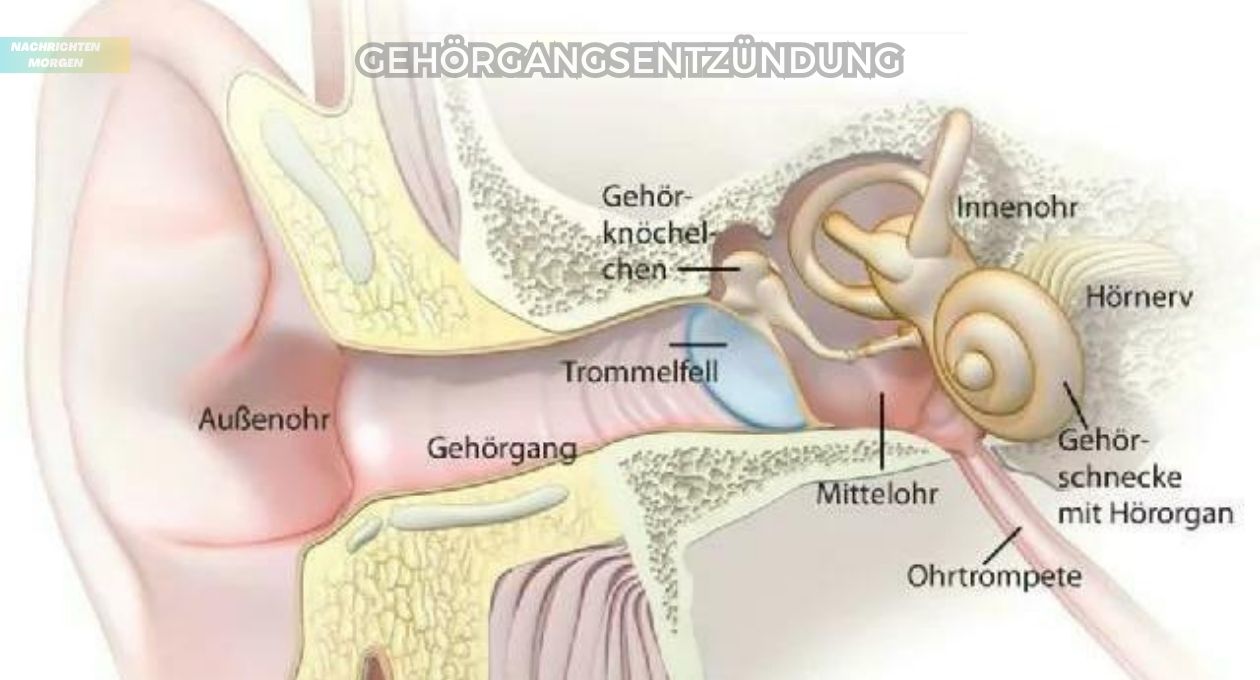 Gehörgangsentzündung