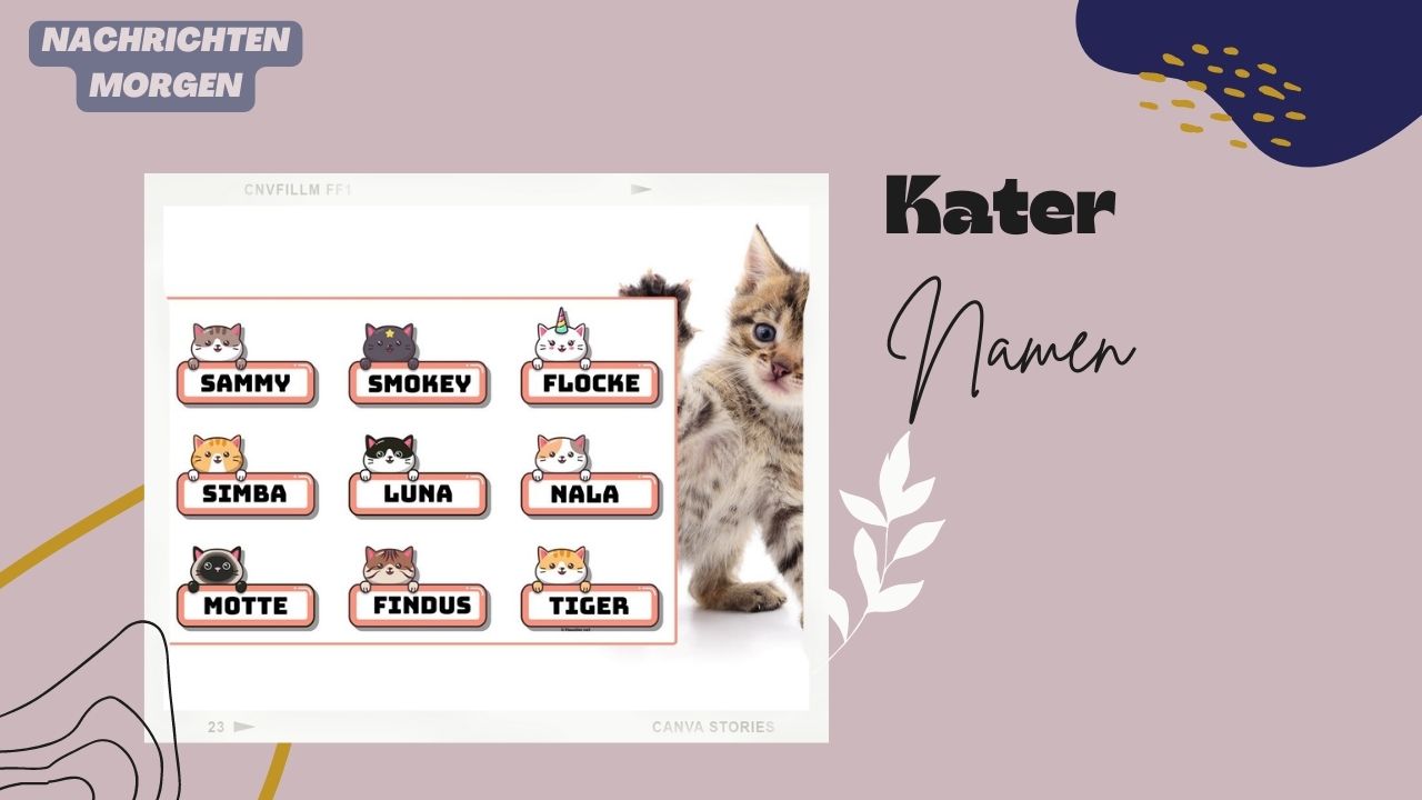 Kater Namen