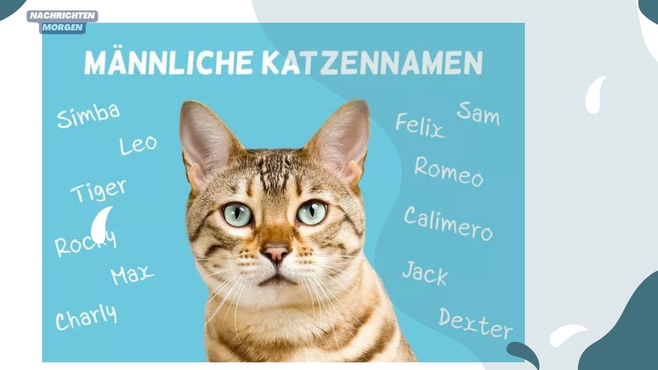 Kater Namen