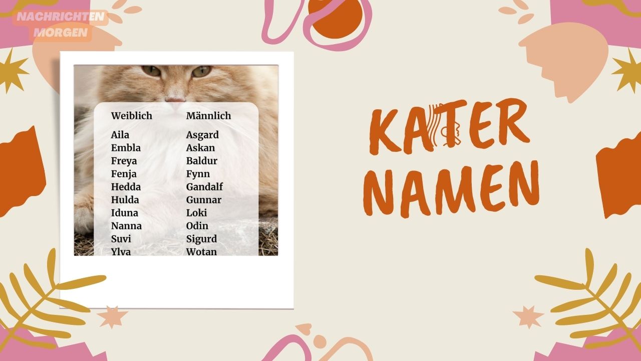 Kater Namen