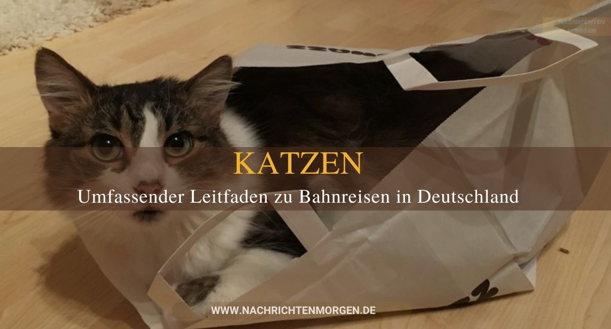 Katzen