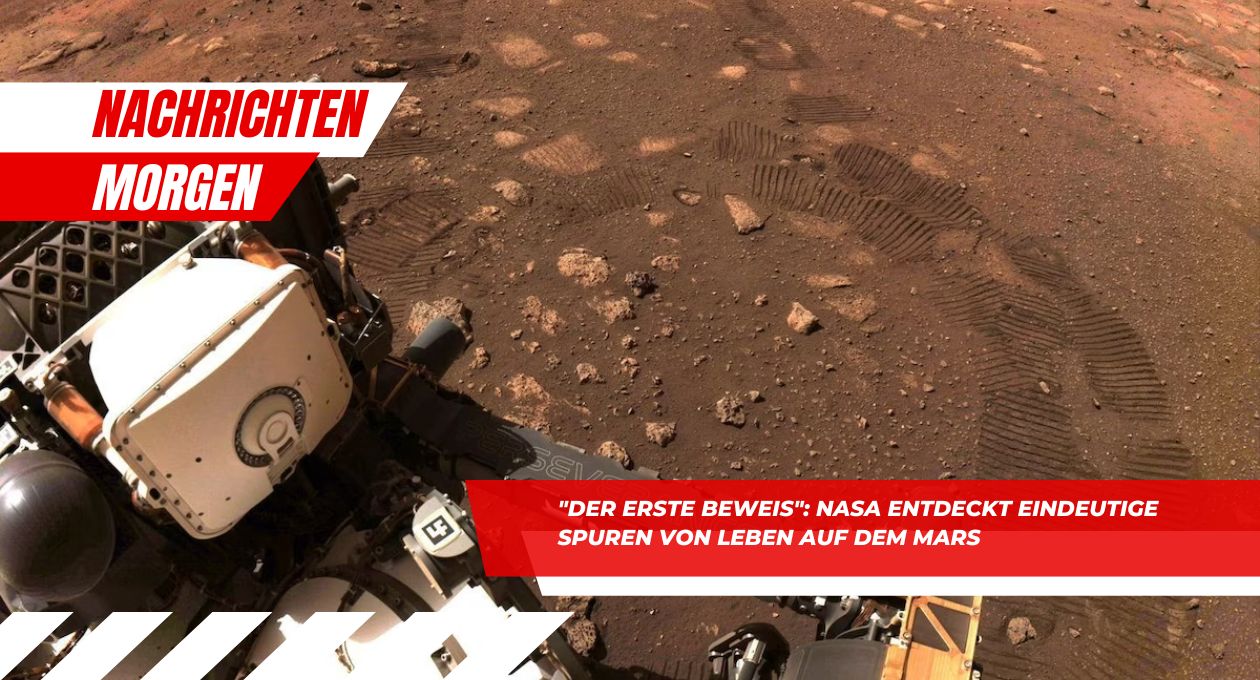 Nasa Entdeckt Eindeutige Spuren Von Leben Auf Dem Mars