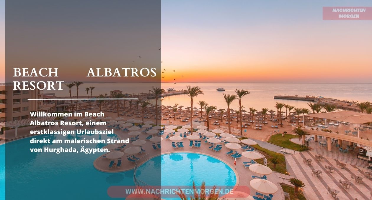 beach albatros resort