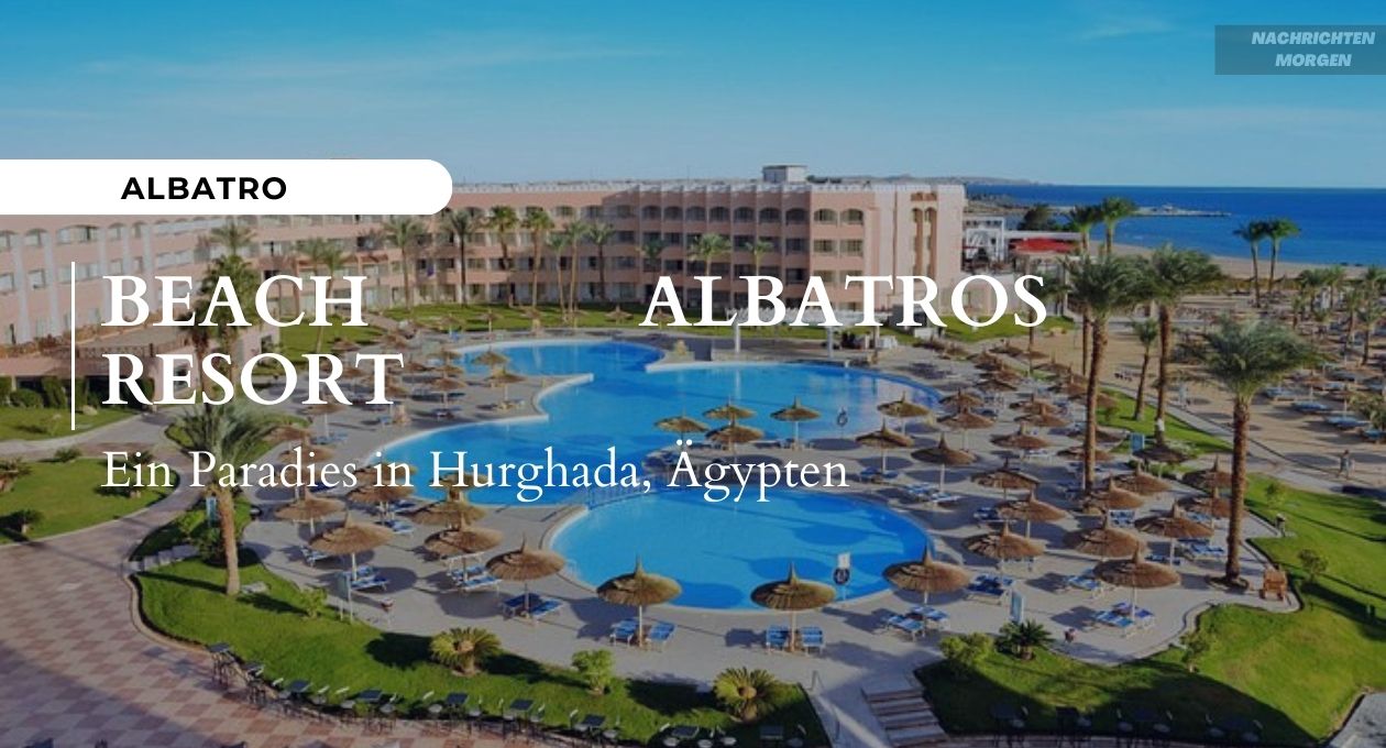 beach albatros resort