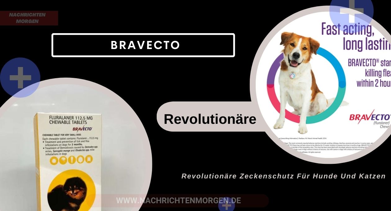 bravecto