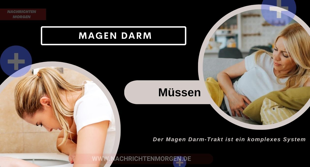 magen darm