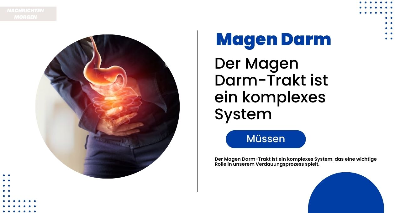 magen darm