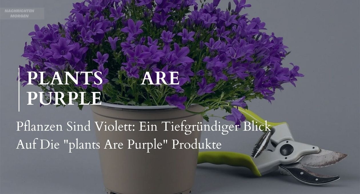 plants are purple