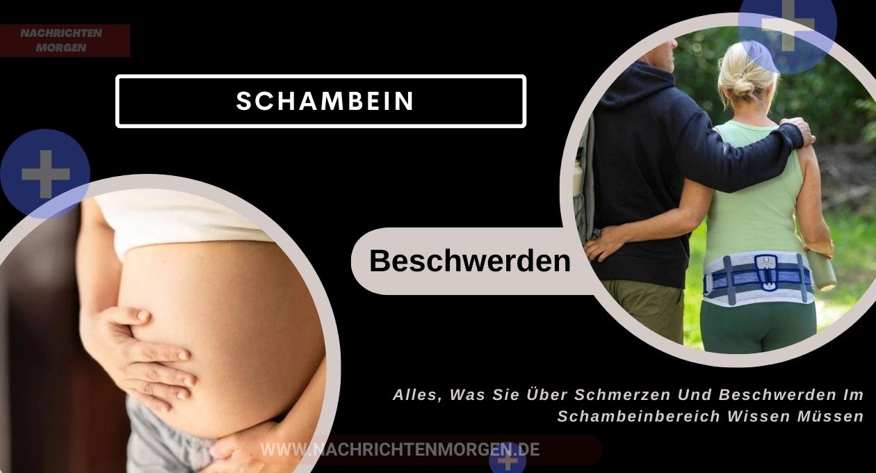 schambein