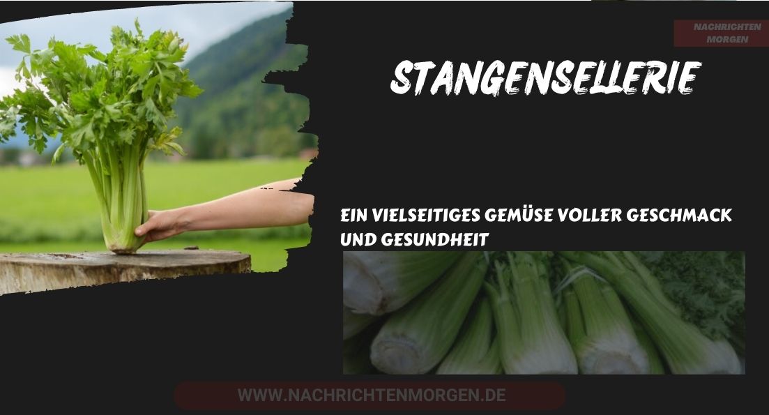 stangensellerie