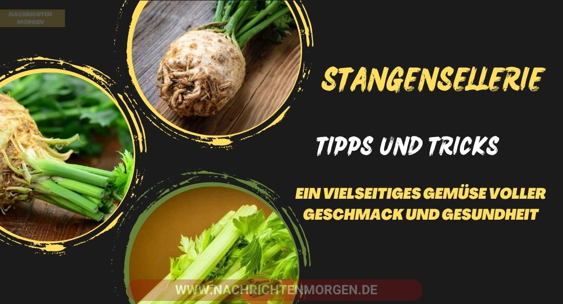 stangensellerie