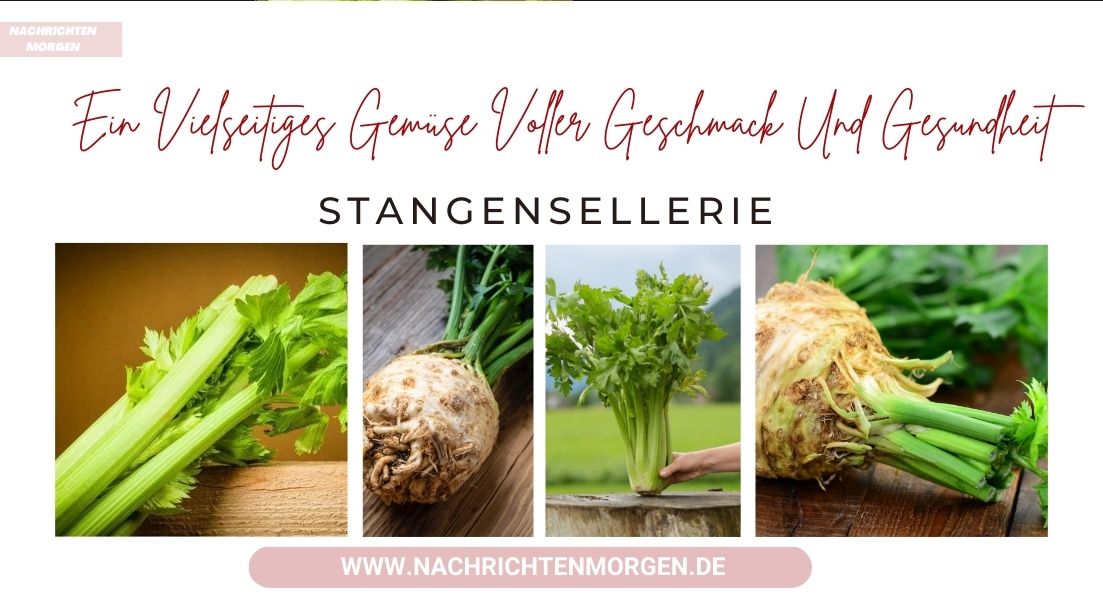 stangensellerie